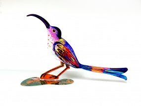 Curious Bird by D. Gerstein