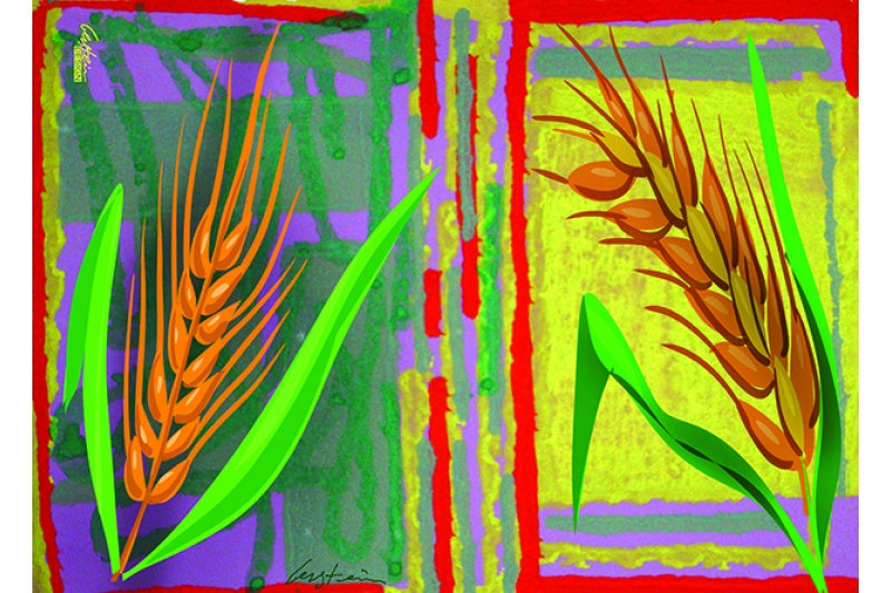 7 Species - 7 Minim by D. Gerstein