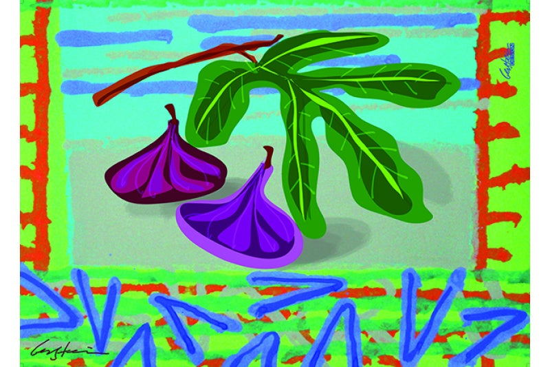7 Species - 7 Minim by D. Gerstein