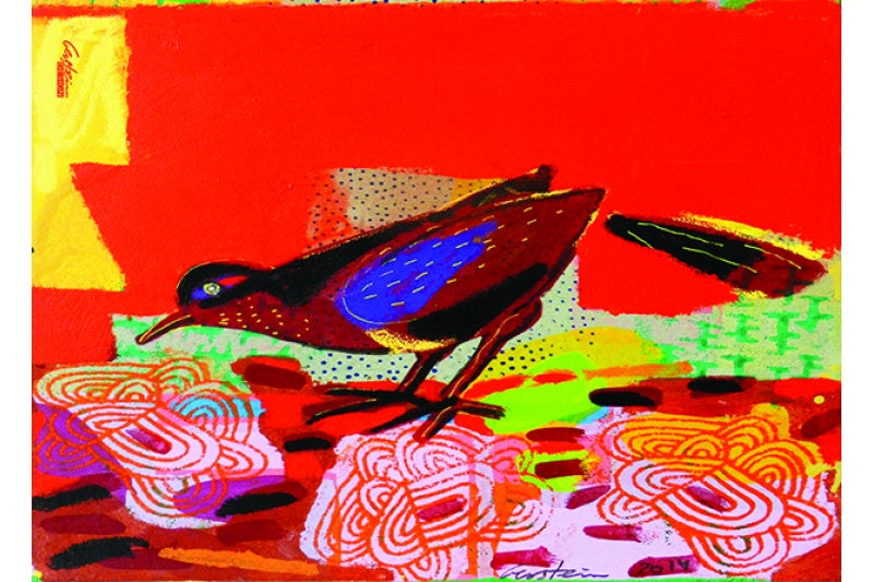 Birds by D. Gerstein