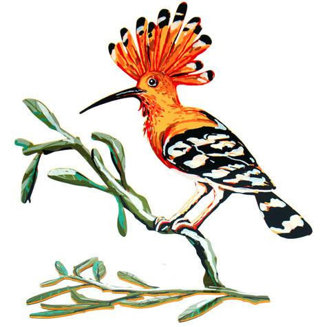 Hoopoe Bird